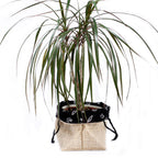 Natural Jute Cotton Gift Bag - Black Lining - Large - Bags & Totes | Hearth & Amble