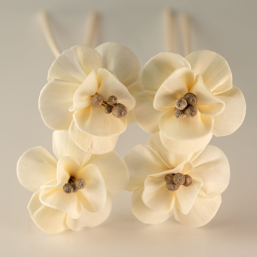 Natural Diffuser Flowers â€“ Lily on Reed
