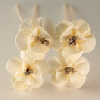 Natural Diffuser Flowers â€“ Lily on Reed