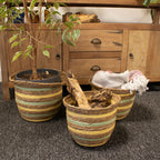 Seagrass & Straw Vase Shaped Baskets  - Natural Yellow & Green - Set of 3