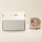 Med Assorted Amethyst Geodes - 6-9 cm (aprox 1KG) 2-3 pieces