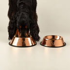 PAW Food Bowls -  Single Copper Style - 22cm - Stainless Steel (304)