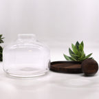 Ex-Large Ball Top Terrarium on Dark Tung Wood
