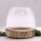 Small Terrarium on Natural Tung Wood