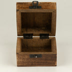 Small Enamelled Box -  Leo