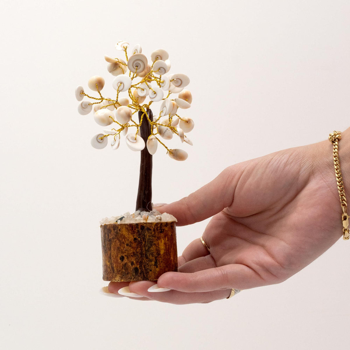 Med Gomati Chakra Circle Stone Tree - (45 stones) - Gomati Chakra Stone Trees | Hearth & Amble