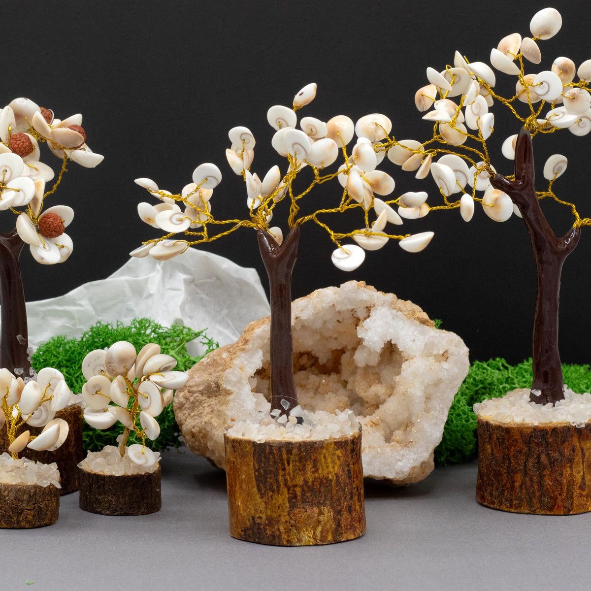 Med Gomati Chakra Circle Stone Tree - (45 stones) - Gomati Chakra Stone Trees | Hearth & Amble