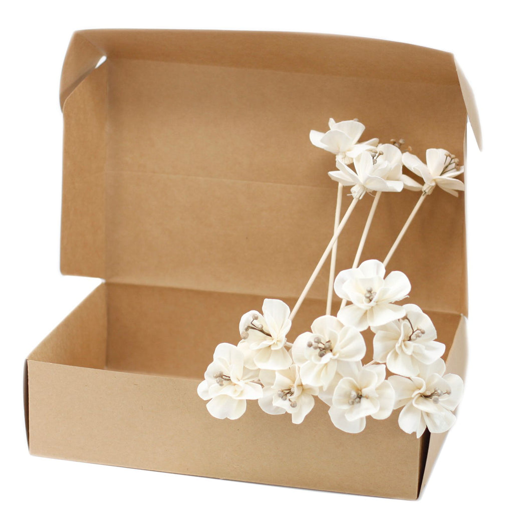 Natural Diffuser Flowers â€“ Lily on Reed