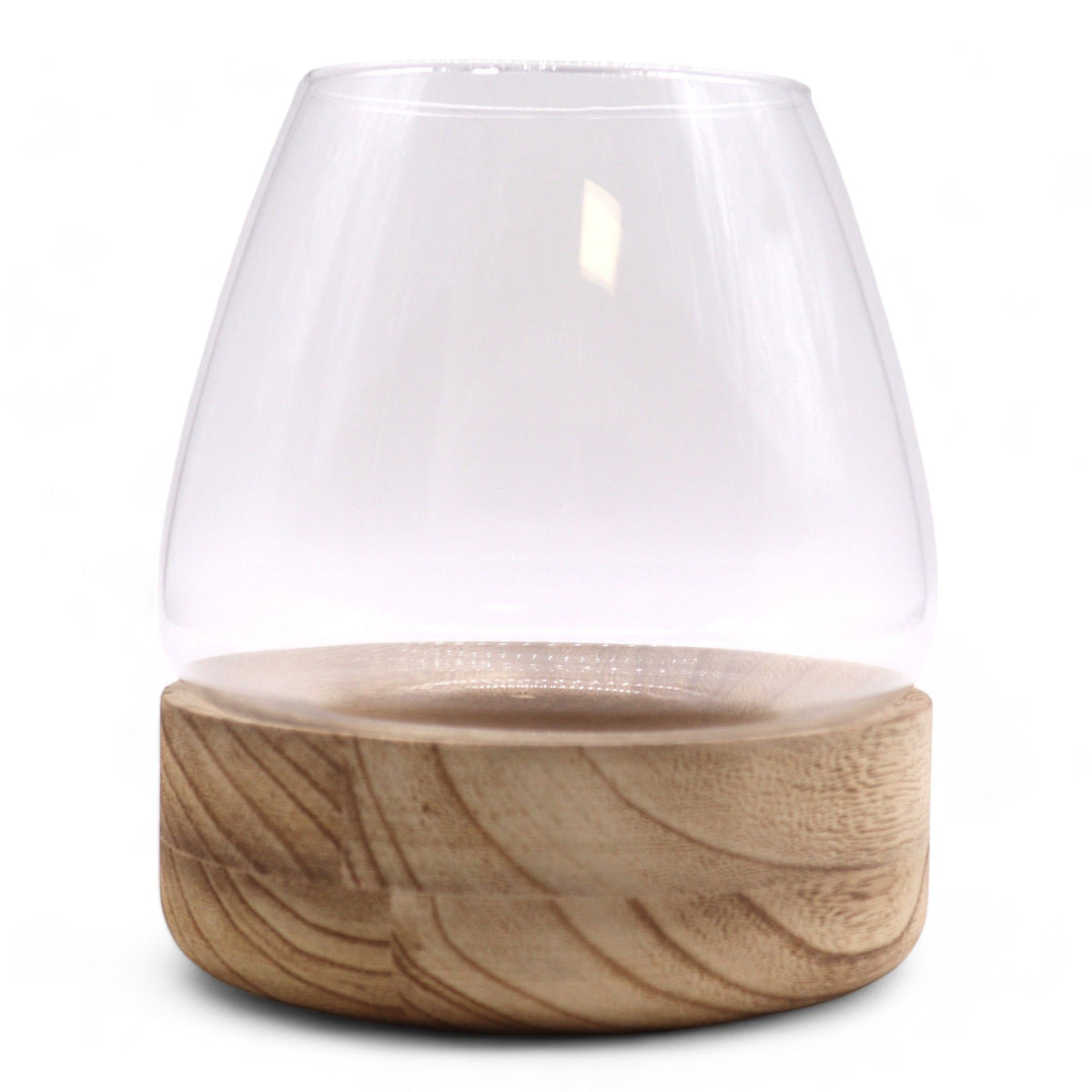 Large Terrarium on Natural Tung Wood