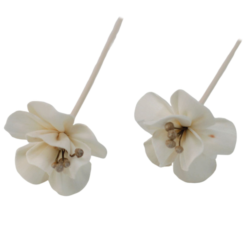 Natural Diffuser Flowers â€“ Lily on Reed