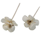 Natural Diffuser Flowers â€“ Lily on Reed