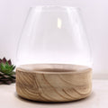Large Terrarium on Natural Tung Wood