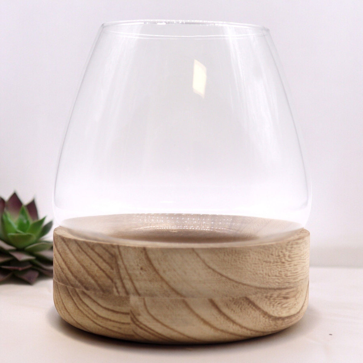 Large Terrarium on Natural Tung Wood