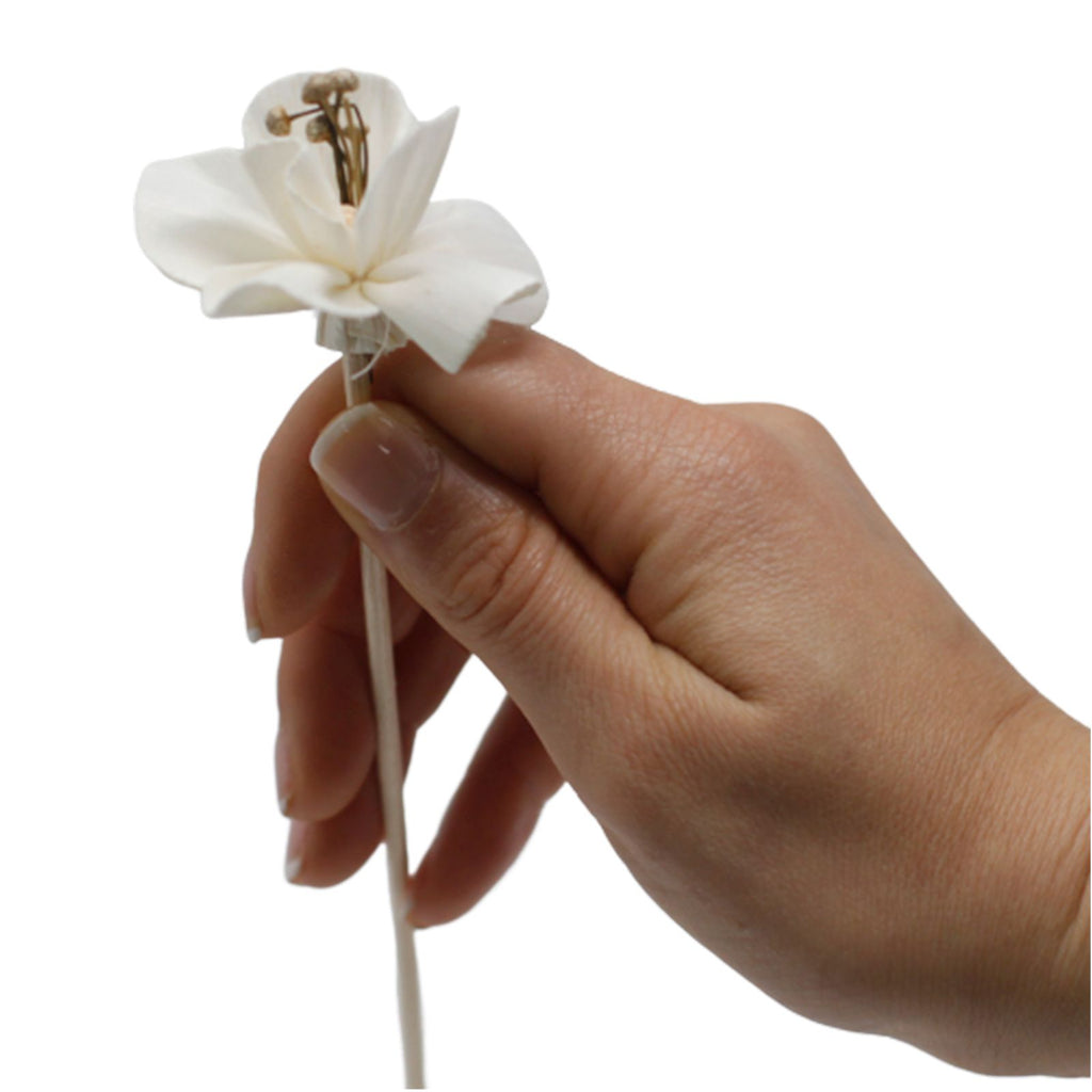 Natural Diffuser Flowers â€“ Lily on Reed