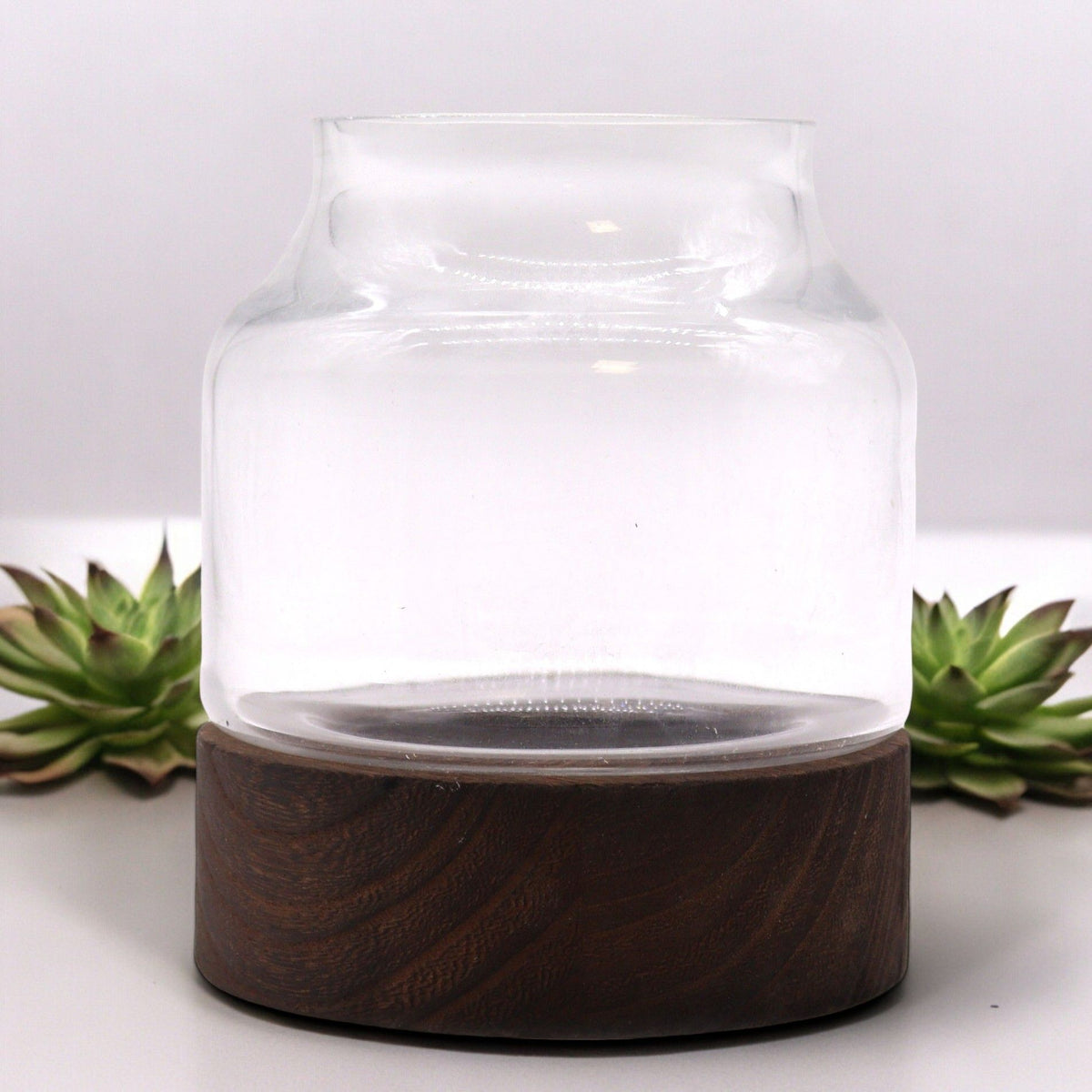 Small Shaped Terrarium on Dark Tung Wood