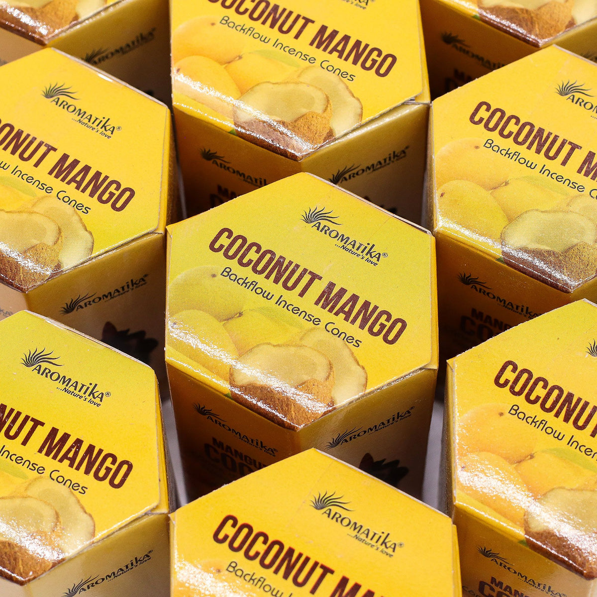 Pack of 10 Masala Backflow Incense - Coconut & Mango