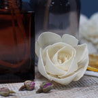 Natural Diffuser Flowers – Carnation on Reed