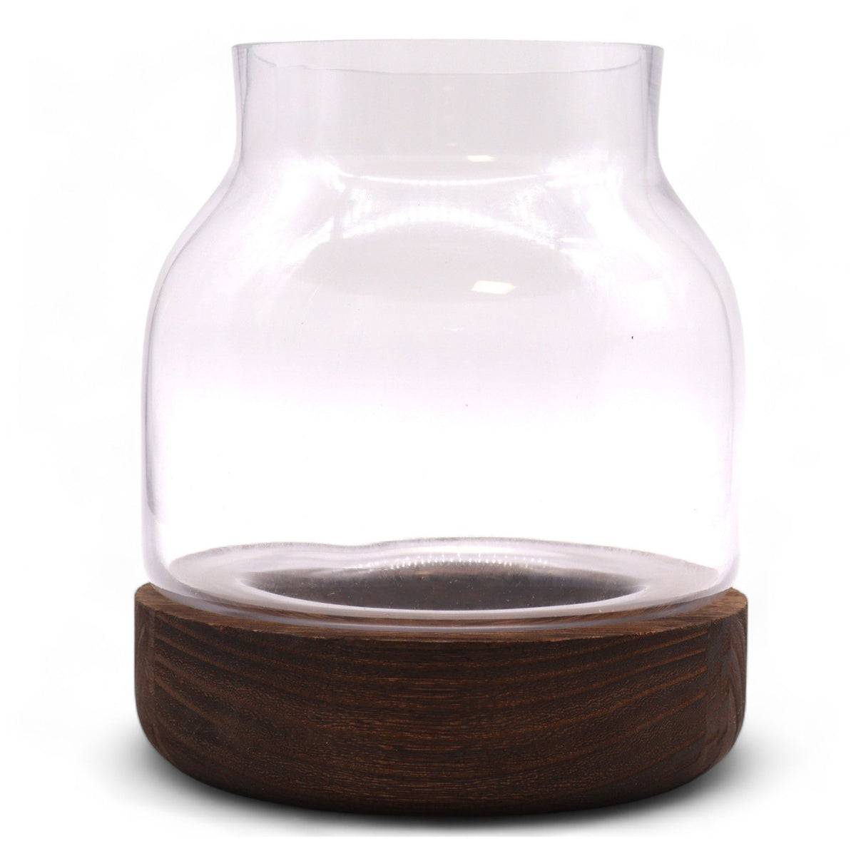 Medium Shaped Terrarium on Dark Tung Wood