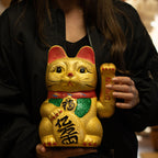 V.Large Money Cat