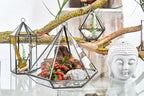 Glass Terrarium - Small Diamond