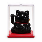 Mini Solar Powered Money Cat in Box - Black