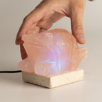USB Toad Shaped (Multi)
