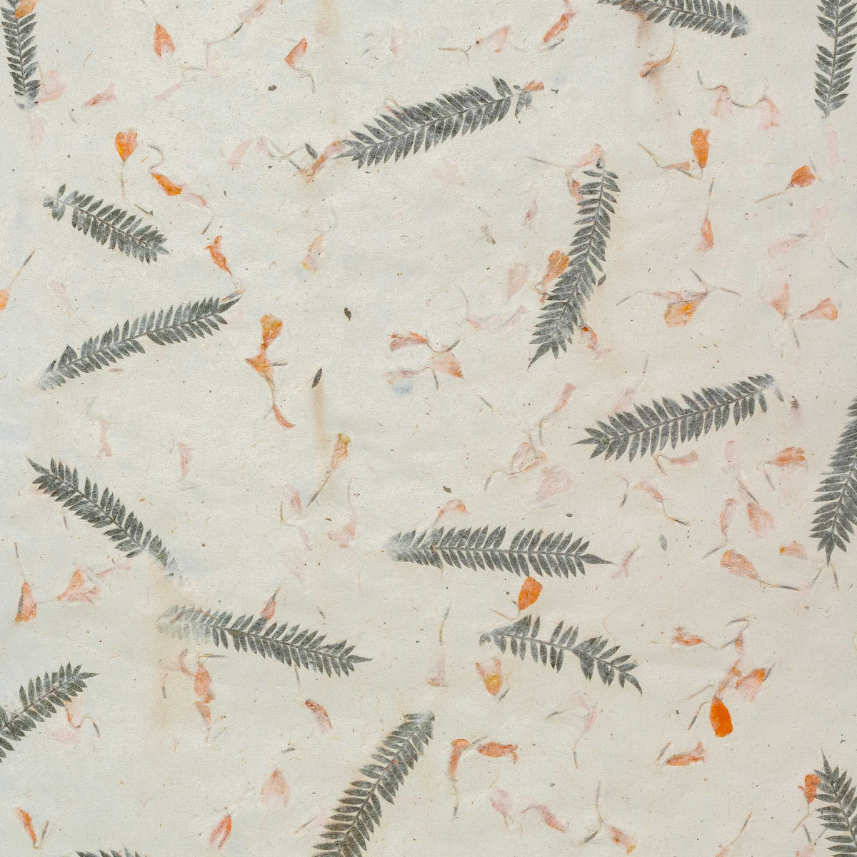 Lokta Craft & Wrapping Paper 51x76cm – Grass