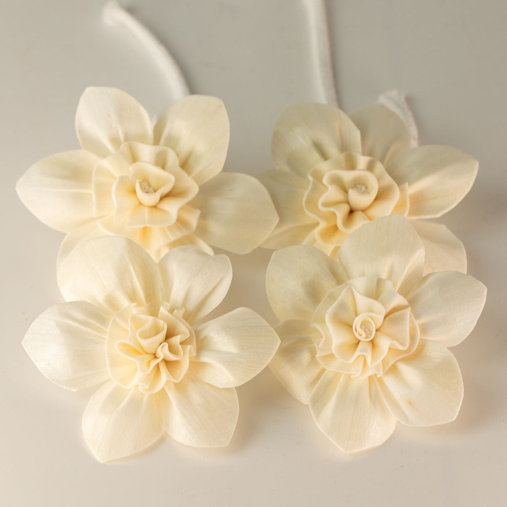 Natural Diffuser Flowers – Large Lily on String
