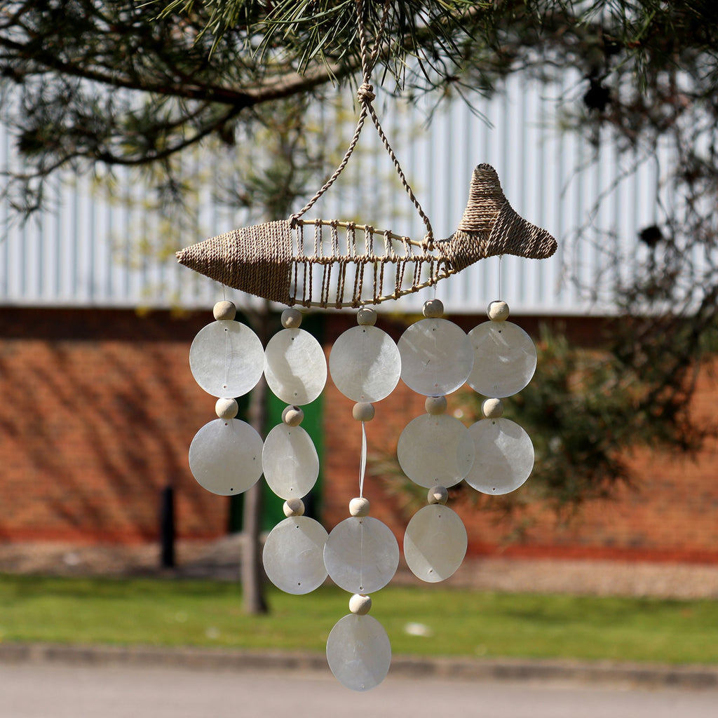 String Fish and Natural Copis Drop