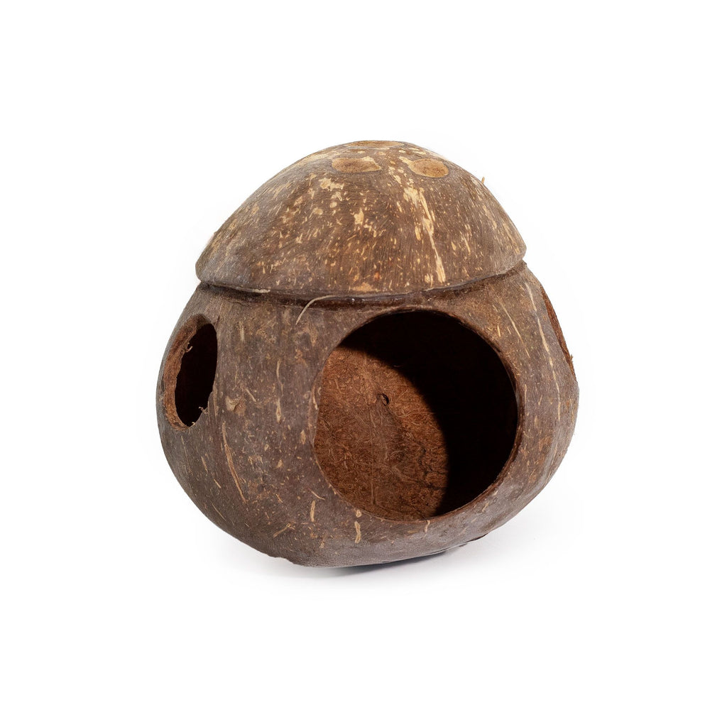 Natural Coconut Bird House - with hook - 13cm