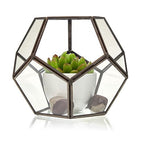 Glass Terrarium - Large Octagon