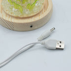Floral Glow Garden Dome - 20 Sunflower - LED USB