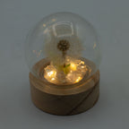Floral Glow Garden Dome - 1 Dandilion- LED Battery